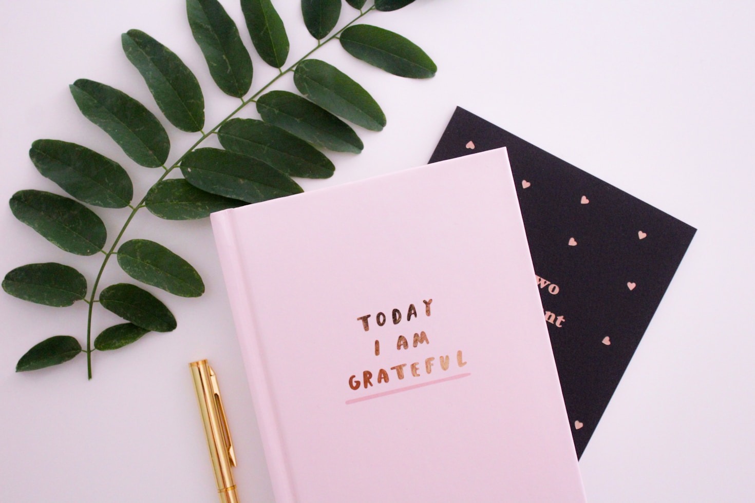 Why Curiosity Is the Key to Growth
